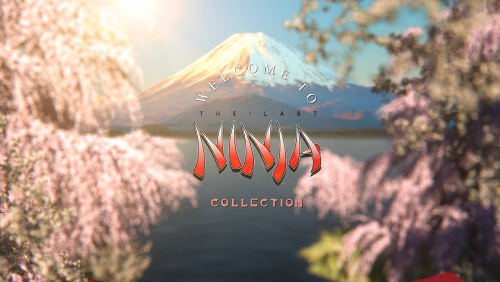 More information about "Last ninja collection"