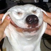 danjam