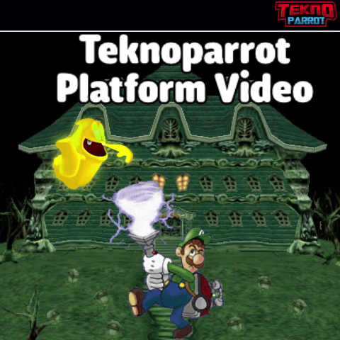 More information about "Teknoparrot Platform Video"